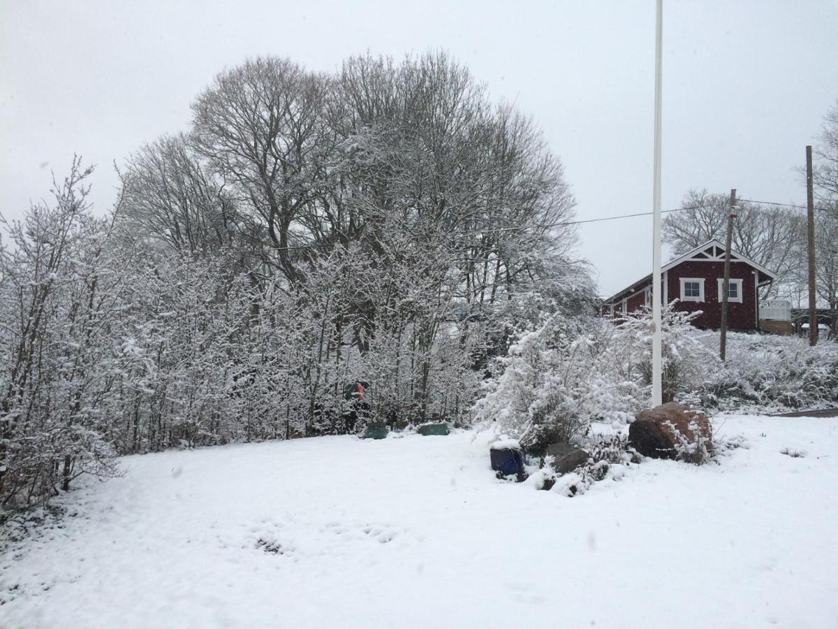 Braenntorps Gard Villa Kolmarden Luaran gambar